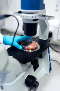 organic chemistry lab