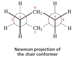 Newman projection of cyclohexane chair