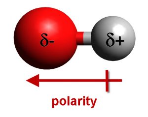 polarity in oxygen-hydrogen covalent bond