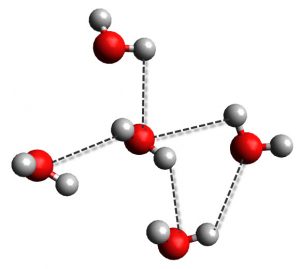 hydrogen bonding in water