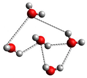 hydrogen bonding in water