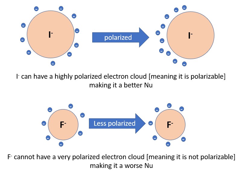electron polarization makes for strong nucleophiles